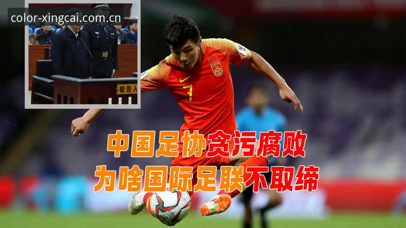 杏彩体育精彩旅程 足坛反腐风暴:从第三批禁足名单看中国足球的深层治理逻辑
